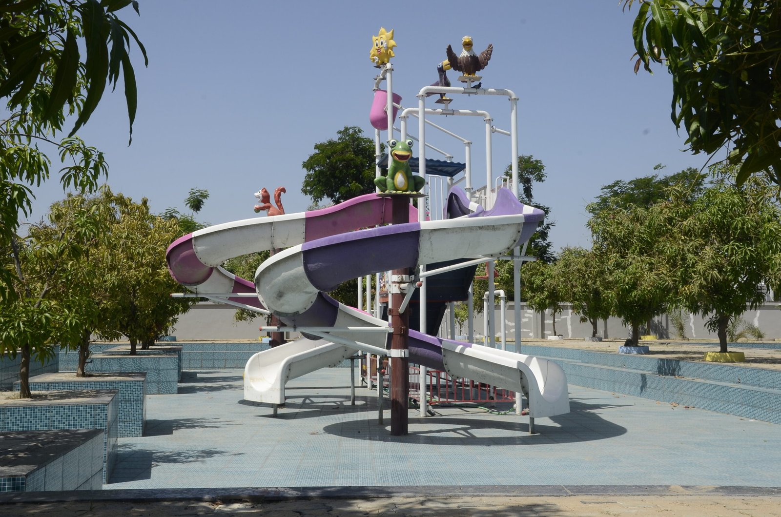 dsc5521